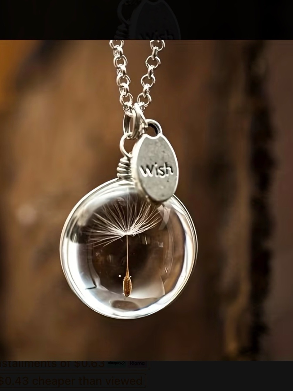 ⭐️ Wish' Dandelion Glass Globe Necklace